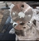 Welding Neck Flange Duplex Stainless Steel UNS S31254 ANSI B16.5