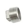 Fitting Pipa Kacau Stainless Steel Fitting Pipa Berulir Steker kepala persegi, 150PSI, SS304 SS316