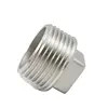 Fitting Pipa Kacau Stainless Steel Fitting Pipa Berulir Steker kepala persegi, 150PSI, SS304 SS316