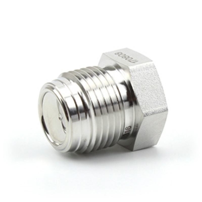 ASME/ANSI Baja Karbon Baja Rinsless Baja Tekanan Tinggi Tingkat Plug Pasang Pipa Socket Kelas Industri