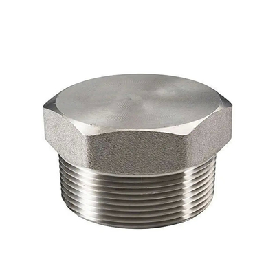 ANSI/ASME Stainless Steel Carbon Steel Plug Ukuran & Bahan yang Dapat Dikustomisasi Kelas Industri