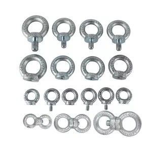 Perangkat Keras Rigging 64mm 7/8 "Din582 Forged Lifting Eye Nut
