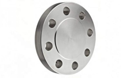 UNS S31803 Duplex Stainless Steel Flange Blind Flange 600 # ASME B16.5