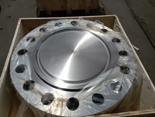 BL Nikel Paduan Logam Flange ASTM/UNS N08800 1