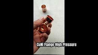 Leher Las Flange CuNi 90/10 EEMUA 145