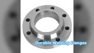 Flensa Leher Pengelasan SS304 SS316 PN6