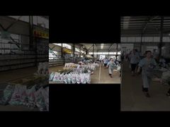 Di Dalam Pabrik Industri Modern Kami | Tur Fasilitas Manufaktur